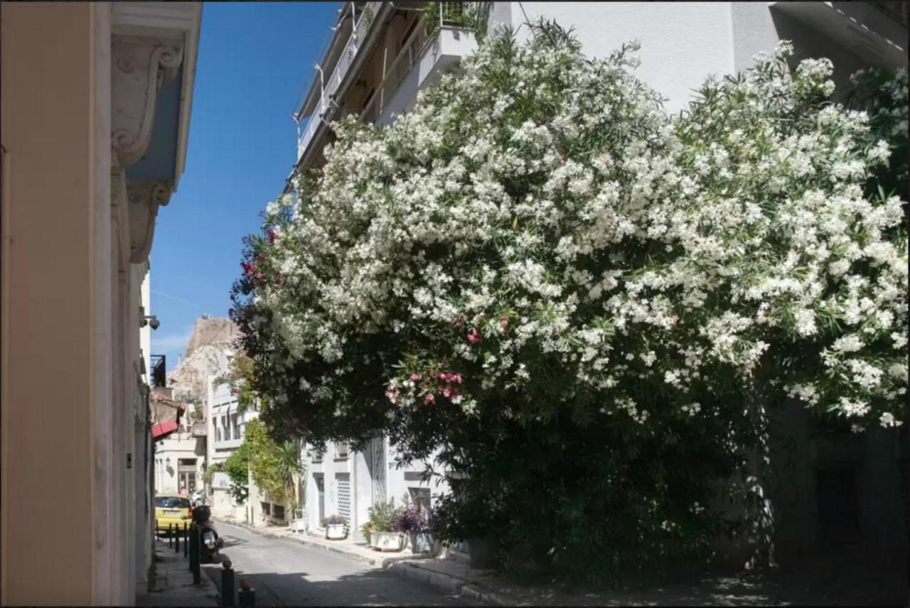 شقة By The Acropolis, In The Heart Of Plaka! أثينا المظهر الخارجي الصورة